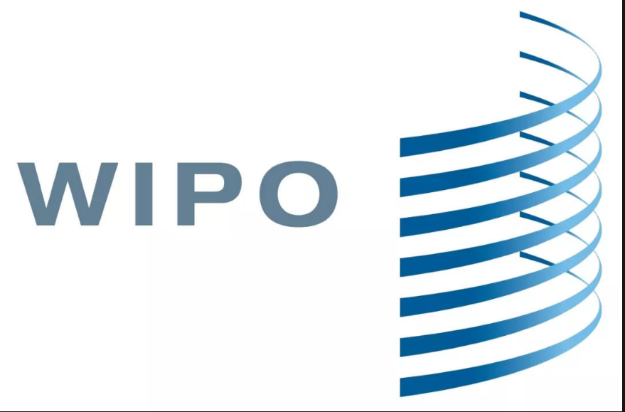 <strong>鼓勵(lì)發(fā)明創(chuàng)造，了解各國(guó)專利周期</strong>